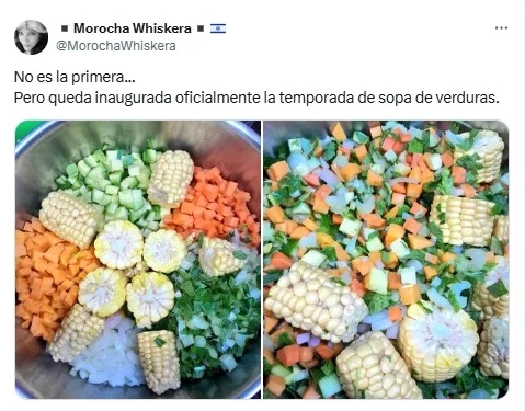 verduras, sanitizar, tomates, morrones, frutas, berenjenas, cebollas, choclo,